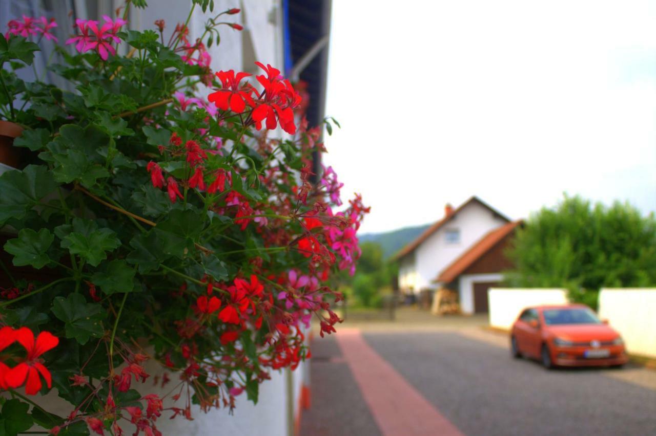 Apartment Wdwell Munchweiler an der Rodalbe